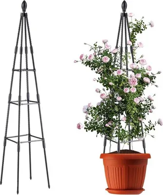 Produktbild von Metallischer Obelisk für Pflanzen und Kletterpflanzen, 160 cm Gartenstütze