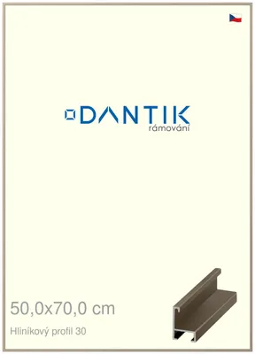 Obrázok produktu pre Rám DANTIK 50x70 | ALU profil 6030 champagne (Plexi Clear)