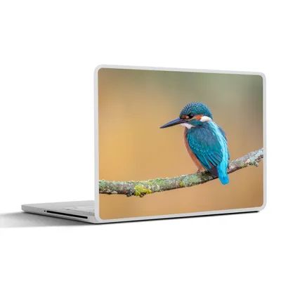 Produktbild von MuchoWow® Laptop Aufkleber Sticker Cover Vogel - Eisvogel - Tiere - Zweig 31x22.5 cm - Laptop-Deko