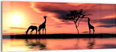 Produktbild von DEQORI Glasbild Echtglas 125x50 cm 'Sonnenuntergangssafari' Wandbild Bild modern Deko