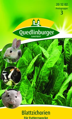 Produktbild von Quedlinburger Saatgut - Blattzichorie (für Futterzwecke) - Samen - 201202