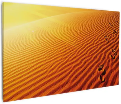 Produktbild von Wallario Premium Leinwandbild Fußspuren im Sand - Sanddüne in der Wüste in Größe 60 x 90 cm