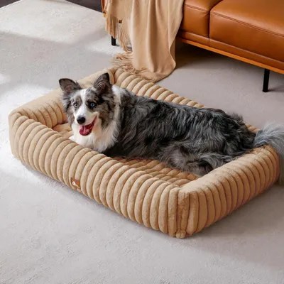 Immagine prodotto di Cuccia per cani, taglia XL, lavabile, imbottita, dimensioni: 109 x 76 x 20 cm