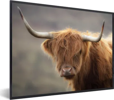 Produktbild von MuchoWow® Gerahmtes Poster Schottischer Highlander - Hörner - Haare 40x30 cm - Poster mit Schwarzem Bilderrahmen Wandposter Rahmen Foto Bilder - Kunstposter - Wanddekorationen