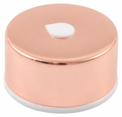 Immagine prodotto di Equa Ersatzdeckel, Ersatz Deckel, für Equa Glasfalsche, Edelstahl, Verchromt Rose Gold Glänzend, 997469