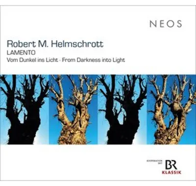 Immagine prodotto di Robert M. Helmschrott: Lamento - Dalle tenebre alla luce