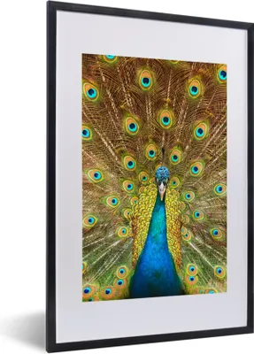 Produktbild von MuchoWow® Gerahmtes Poster Pfau - Vogel - Blau 40x60 cm - Poster mit Schwarzem Bilderrahmen Wandposter Rahmen Foto Bilder - Poster in Rahmen
