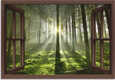 Produktbild von ARTland Wandbild Alu für Innen & Outdoor Fensterblick - Wald im Gegenlicht, braun Größe: 70x50 cm
