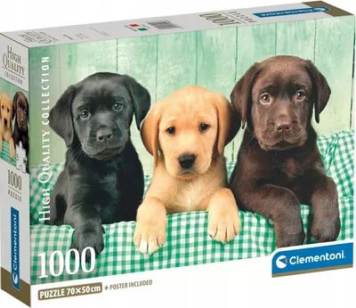 Immagine prodotto di Puzzle CLE 1000 compatto tre laboratori 39946