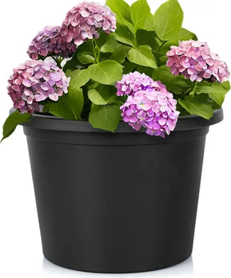 Image de Grand pot de jardin d'extérieur en plastique rond noir 34 x 24 cm