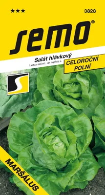 Obrázek produktu pro Salát Maršálus - celoroční PROFI - polní  0,6g