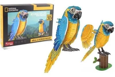 Productafbeelding van 3D Puzzle - Parrot - Construction Game - EXPLORA - Bird - 94 pieces - Ages 8+