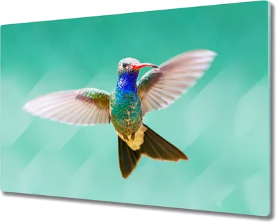 Produktbild von Coloray Hackbrett Kochplattenabdeckung Herdabdeckplatte 80x52 cm Schneidebrett Küchenbrett - Tier Vogel