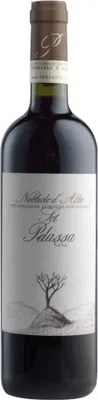 Produktbild von Daniele Pelassa Nebbiolo d´Alba „Sot“ DOC