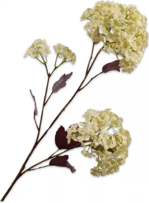 Produktbild von Silk-ka Kunstblume - Seidenblume Schneeballzweig Grün 69 cm