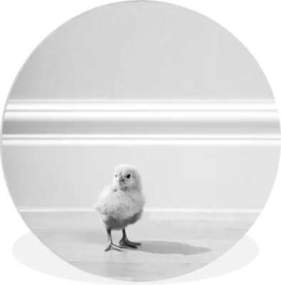 Produktbild von MuchoWow® - Schlafzimmer - Bilder - Der Kreis - Kunst für die Wohnung - Plastik - Kunstdruck - Wandbild