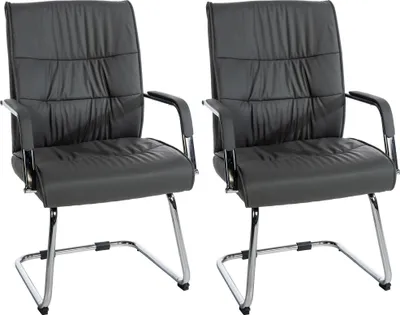 Produktbild von CLP 2er Set Besucherstühle Sievert Freischwinger mit Metallgestell und Bodenschoner grau