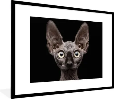 Produktbild von MuchoWow® Gerahmtes Poster Katze - Haustiere - Porträt - Schwarz 80x60 cm - Poster mit Schwarzem Bilderrahmen Wandposter Rahmen Foto Bilder - Schlafzimmer-Dekorationen - Fotoposter