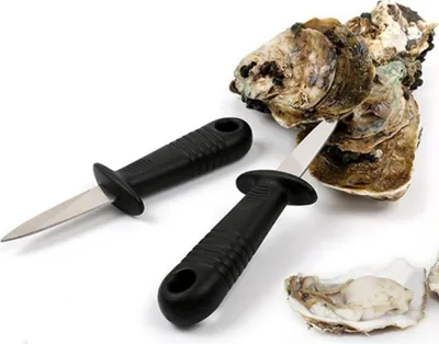 Two oyster knives and oysters on a white background.