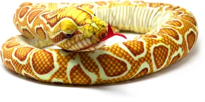 A plush toy snake coiled on a white background.