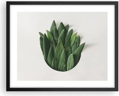 Produktbild von Gerahmtes Poster - Schwarzer Rahmen - Salbei Medizin Blätter - 50x40 cm - Wand Bild - Wanddeko - Wandbilder - Kunstposter - Wandposter - Bilderrahmen - Bilder - Kunstdruck - P2BAA50x40-4859