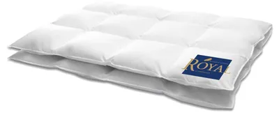 Produktbild von HANSKRUCHEN Royal Daunenbettdecke 200x200 cm Warm 100% Gänsedaunen waschbar Allergiker Winterdecke atmungsaktiv Bettdecke weiss