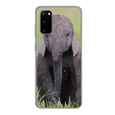 Produktbild von MuchoWow® Handyhülle Schutzhülle Hülle für Samsung Galaxy S20 Elefant - Baby - Tiere - Gras - Natur Silikon Softcase Handy Hülle - Bild