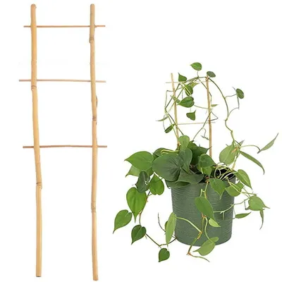 Obrázok produktu pre Deco4Home Bambusová rebríková opora | Opora pre rastliny | 45 cm