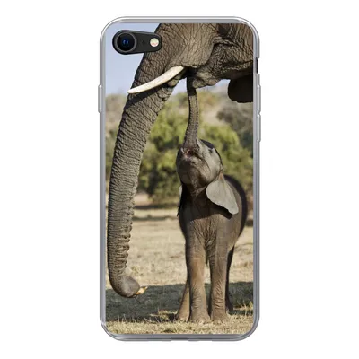 Produktbild von MuchoWow® Handyhülle Schutzhülle Hülle für iPhone 7 Elefant - Tiere - Gras - Natur Silikon Softcase Handy Hülle - Kartenhalter