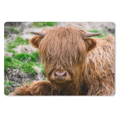 Produktbild von MuchoWow® Schreibtischunterlage Schottischer Highlander - Heu - Gras 60x40 cm - XXL Mauspad - Großes Mauspad