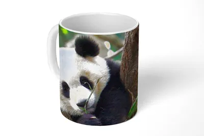 Obrázok produktu pre KitchenYeah® Hrnček na kávu Hrnček na kávu 350 ml Panda - Zvieratá - Džungľa - Príroda Šálka na kávu - Foto hrnček - Hrnček - Keramický hrnček - Hrnček na čaj - Hrnček na kávu - Kancelársky hrnček
