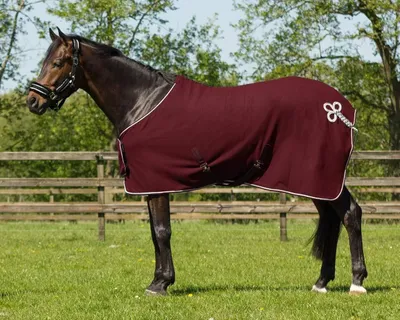 Imagen del producto de Manta polar para caballos en color rojo oscuro
