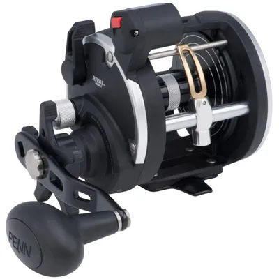 Produktbild von Penn Rival Level Wind Linecounter Reel 30 - Rechtshand Multirolle