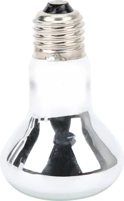 Image de Lampe chauffante pour reptiles E27 220-230 V, radiateur UVA avec diffusion naturelle de la chaleur, pour tortues et amphibiens