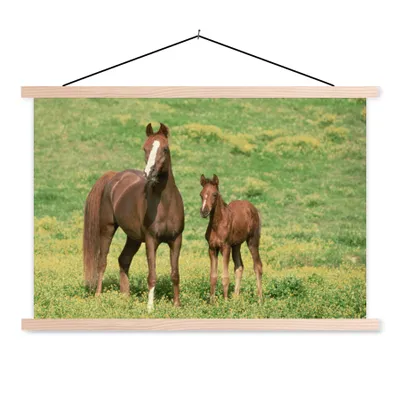 Obrázek produktu pro MuchoWow® Textilní plakát - Koně - Tráva - hnědá - 60x40cm - S hnědými lamelami
