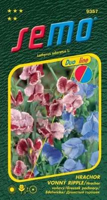 Zdjęcie produktu dla Semo Pea - Crimson and Blue Ripple 2g - seria Duo