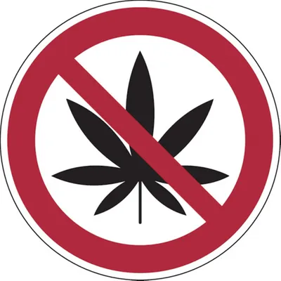 Produktbild von Dreifke® Verbotsschild, Cannabis verboten - praxisbewährt - 200 mm Folie selb...