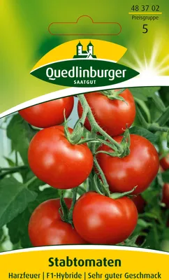 Produktbild von Quedlinburger Saatgut - Stabtomaten Harzfeuer - Samen - 483702