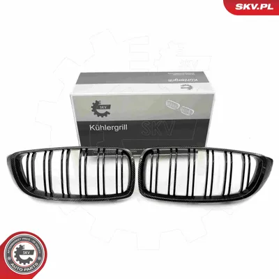 Immagine prodotto di ESEN SKV 66SKV151 Griglia anteriore per BMW 4 Gran Coupé (F36) in carbonio