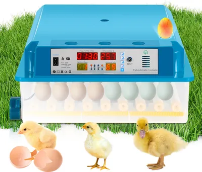 Produktbild von Clanmacy Brutmaschine Vollautomatisch, Inkubator 64 Eier-Brutapparat mit Display, Temperaturregelung Ei Inkubation Hatcher für Hühnergans, Ente, Taube, Wachtel
