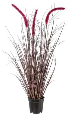 Produktbild von Kunstpflanze Pennisetum rubrum, GRASBUSCH IM TOPF Lampenputzer ca 73cm