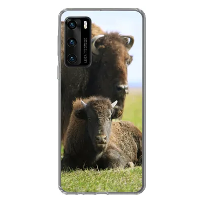Produktbild von MuchoWow® Handyhülle Schutzhülle Hülle für Huawei P40 Büffel - Gras - Kalb Silikon Softcase Handy Hülle - Handytasche