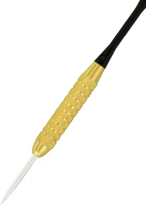 Obrázek produktu pro Šipky Steel Success - 21g