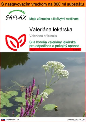 Obrázok produktu pre SAFLAX Garden in the bag - valeriána lekárska - Valeriana officinalis - 200 Semená - S pestovateľským substrátom v praktickom samostaviteľnom vrecku