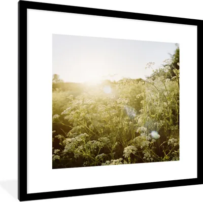 Produktbild von MuchoWow® Gerahmtes Poster Blumen - Weiß - Frühling 40x40 cm - Poster mit Schwarzem Bilderrahmen Wandposter Rahmen Foto Bilder - Poster - Plakat im Rahmen