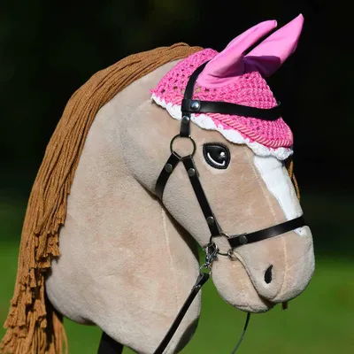 Image de Bonnet rose pour hobby horse
