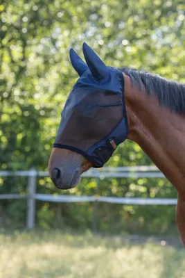 Produktbild von Covalliero Fliegenschutzmaske SuperFly mit Ohrenschutz navy, Größe:Pony