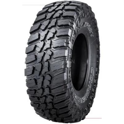 Obrázok produktu pre Pneumatiky NANKANG 265/70 R17 121Q CONQUEROR MT-1 M+S OWL POR