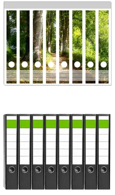 Produktbild von Wallario 8 Stück schmale Ordner inkl. Klebeetiketten mit Motive Weg im Sonnenlicht -  Set mit Rückenschildern / Ordnerrücken Stickern