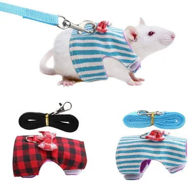 Image de Harnais pour animaux de compagnie, réglable, pour petits animaux, taille XS